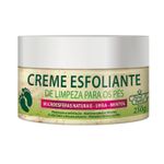 Creme-Esfoliante-Pes-Ureia-Mentol-Flores-e-Vegetais-3707.00