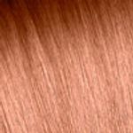 castanhocor