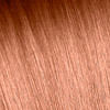 castanhocor