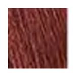 corc24