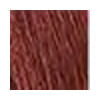 corc24