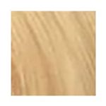 corc26