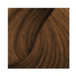 Coloracao-Probelle-Especialista-6.88-Marrom-Tabaco