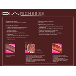 Tonalizante-L-Oreal-DiaRichesse-explicacao
