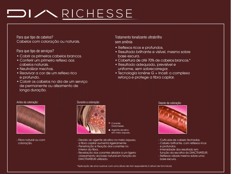 Tonalizante-L-Oreal-DiaRichesse-explicacao