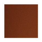 Capivara