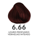 Coloracao-Salvatore-All-Colors-6.66-Louro-Profundo-Vermelho-Intenso