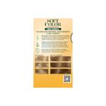 coloracao-soft-color-louro-claro-80-7891182016902---3-