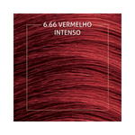 tintura-cabelo-biocolor-vermelho-intenso-arrasar