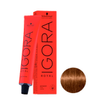 Coloracao-Igora-Royal-6.5-Louro-Escuro-Dourado--1-