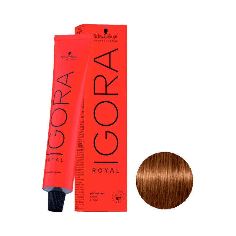 Coloracao-Igora-Royal-6.5-Louro-Escuro-Dourado--1-