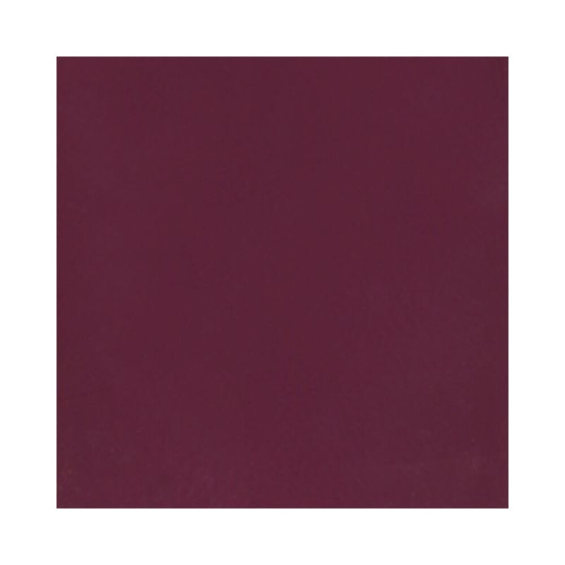 Esmalte-Anita-Peca-Coringa-10ml---7908209808676---img03