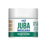 Mascara-Capilar-Juba-Reconstrutora-Acao-Widi-care-500g--1-