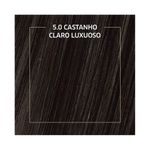 Coloracao-Biocolor-Castanho-Claro-Luxuoso-5.0_4560_img09