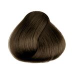 Coloracao-Richee-PrismColor-6.0-Louro-Escuro_7898594745055_cor