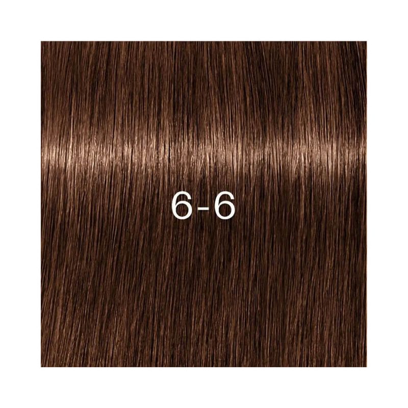 Coloracao-Igora-Zero-Amm-6.6---4045787961638---cor