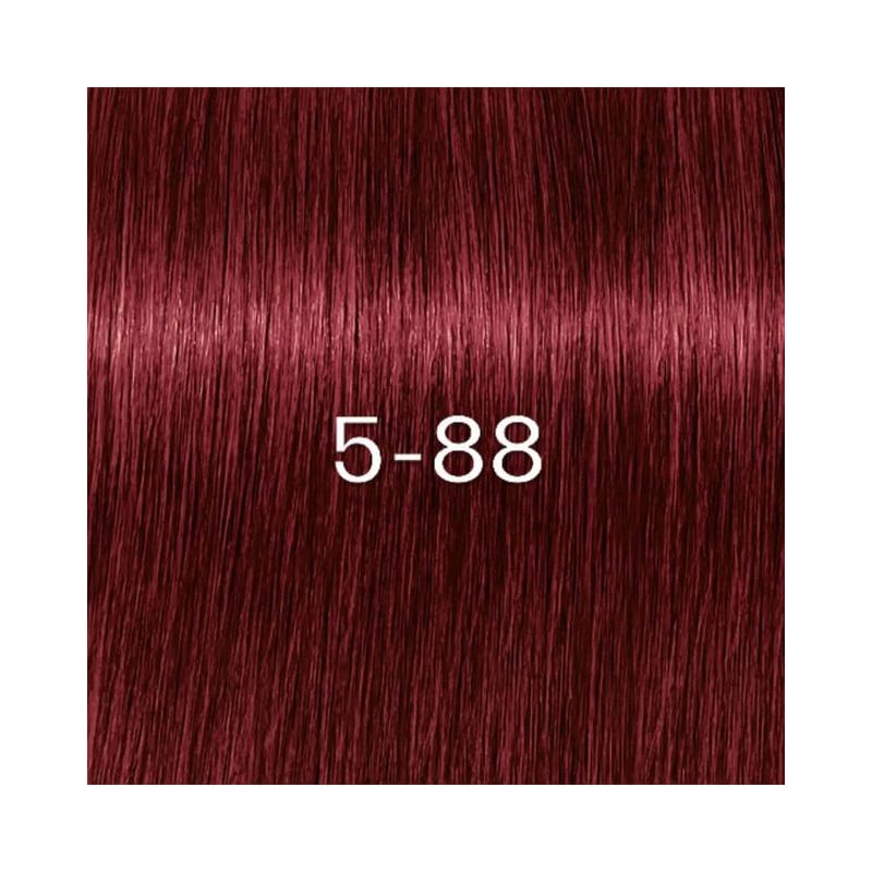 Coloracao-Igora-Zero-Amm-5.88---4045787961997---cor