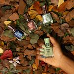 Kit-Esmalte-Risque-Meu-Jardim-Magico--6-Cores----9900000047935---img09