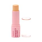 Base-Ruby-Rose-Stick-Perfect-Blend-Fs20---7900083011418---img02