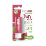 Protetor-Solar-Labial-Dermachem-Sun-Fruits-24-FPS-Melancia---7908346903449---img01