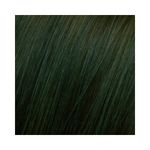 Coloracao-Altamoda-6.1-Louro-Escuro-Cinza_7898468503583_cor