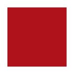 Batom-Liquido-Niina-Secrets-Skinny-Matte-Vermelho-Hibisco---7891033540037---cor