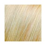 Coloracao-Altamoda-10.1-Louro-Extra-Claro-Cinza_7898468503620_cor