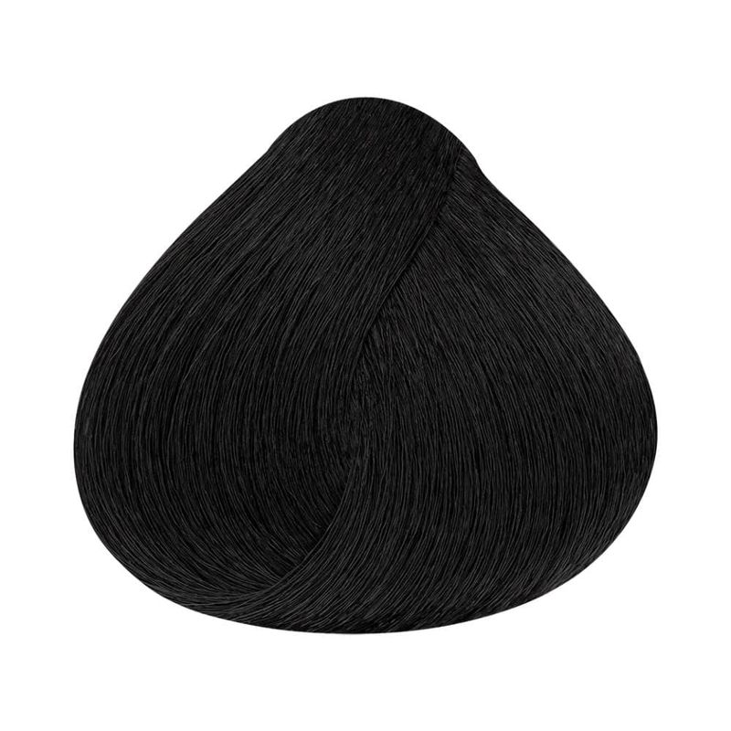 Coloracao-Alfaparf-Evolution-of-the-Color-1-Preto_7899884221150_cor