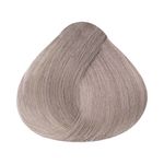 Coloracao-Alfaparf-Evolution-of-the-Color-9.21-Louro-Clarissimo-Irise-Cinza_7899884221327_cor
