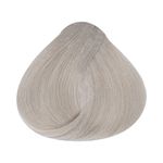 Coloracao-Alfaparf-Evolution-of-the-Color-10.1-Louro-Extra-Claro-Cinza_7899884221259_cor