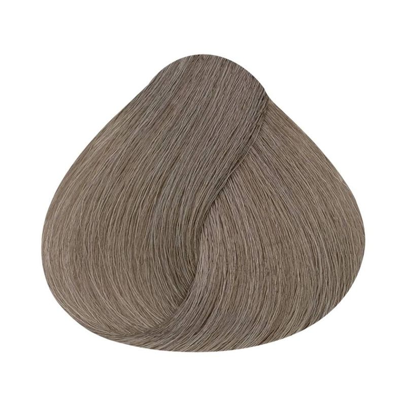 Coloracao-Alfaparf-Evolution-of-the-Color-8.1-Louro-Claro-Cinza_7899884221273_cor