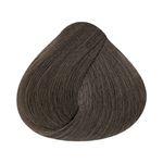 Coloracao-Alfaparf-Evolution-of-the-Color-6.1-Louro-Escuro-Cinza_7899884221297_cor