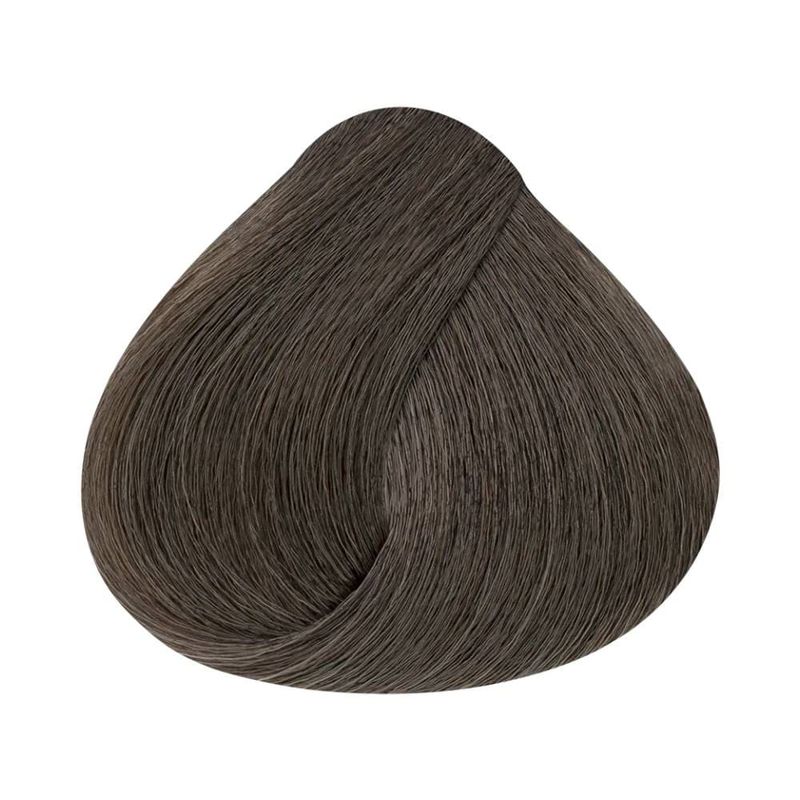 Coloracao-Alfaparf-Evolution-of-the-Color-6.1-Louro-Escuro-Cinza_7899884221297_cor