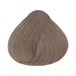 Coloracao-Alfaparf-Evolution-of-the-Color-8.21-Louro-Claro-Irise-Cinza_7899884221334_cor