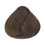 Coloracao-Alfaparf-Evolution-of-the-Color-7.21-Louro-Medio-Irise-Cinza_7899884221341_cor
