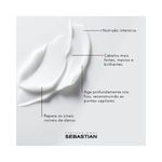Mascara-Capilar-Sebastian-No-Break-150ml---4064666898728---img02