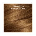 Coloracao-Permanente-Koleston-Castanho-Ouro-53_7891350037456_cor