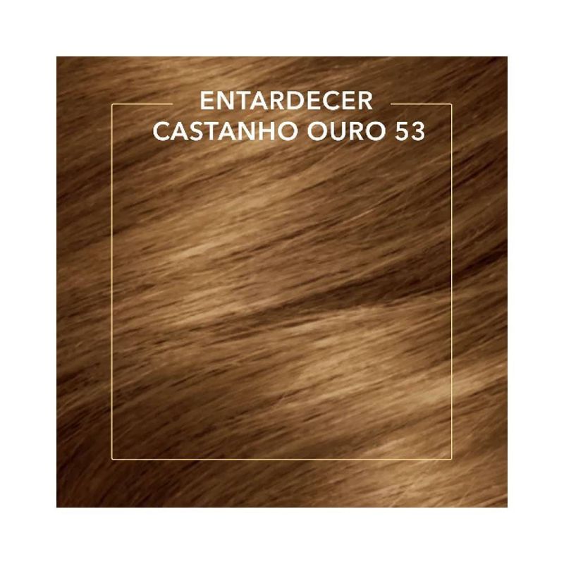 Coloracao-Permanente-Koleston-Castanho-Ouro-53_7891350037456_cor