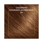 Coloracao-Permanente-Koleston-Castanho-Dourado-Acobreado-54_7891182016445_cor