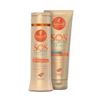 Kit-Haskell-Shampoo-300ml---Creme-Pre-e-Pos-Sol-240g-SOS-Verao_7898610378151_img01