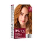 Coloracao-Amend-Magnific-Color-8.4-Louro-Claro-Acobreado_7896852618073_img01