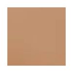 Base-Liquida-Niina-Secrets-Daily-Tint-Cream-Cor-13---7891033481583---cor